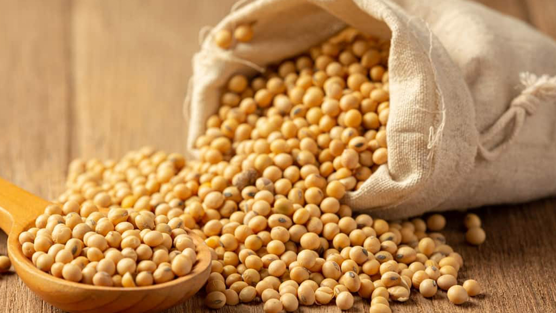 5 Benefits of Soya for Better Fitness - GYM
